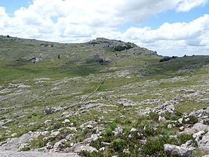 Archivo:Cerro de las Ánimas - panoramio