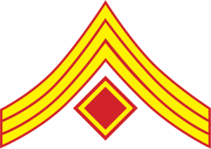 Archivo:Confederate States of America First Sergeant-Marines