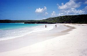 Archivo:Corcho Beach, Vieques, Puerto Rico
