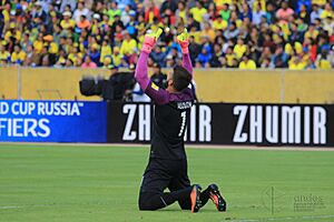 Archivo:ECUADOR vs BRASIL - ARCO SUR (29105535060)