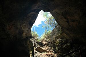 Archivo:Entrance to Hatchet Bay Cave (Eleuthera Island, Bahamas) 7 (8318331758)