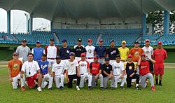 Archivo:Estadio de beisbol Yeyo Uraga - panoramio