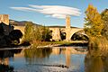 Fluvià Besalú 03