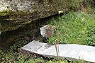 Fuente de la Caldera en Arnedo