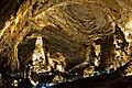 Grutas de Cacahuamilpa, Guerrero (33165502951)