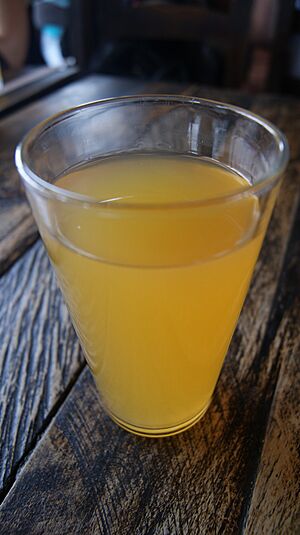 Archivo:Guarapo 30062011