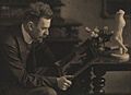 Heinrich Wölfflin Dührkoop