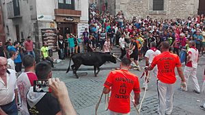 Archivo:La vaquilla-Cuenca