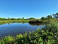 Laguna Artificial de la Reserva Natural Urbana El Corredor