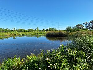 Archivo:Laguna Artificial de la Reserva Natural Urbana El Corredor