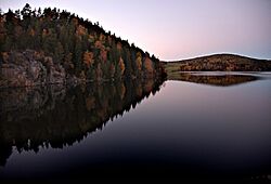 Lakelandscape800.jpg