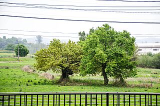 M-orejo-paisaje-abril-2021.jpg