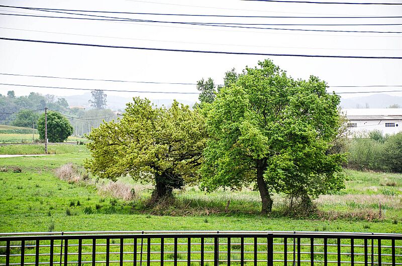 M-orejo-paisaje-abril-2021