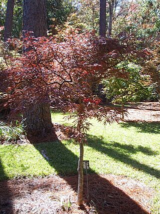 Mobile Botanical Gardens.jpg