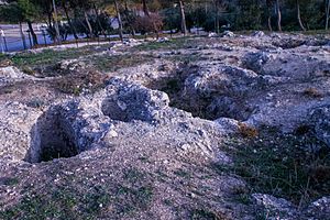 Archivo:Necropolis cerro miguelico