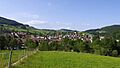 Ormalingen-2013 04