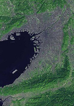 Osaka satellite map.jpg