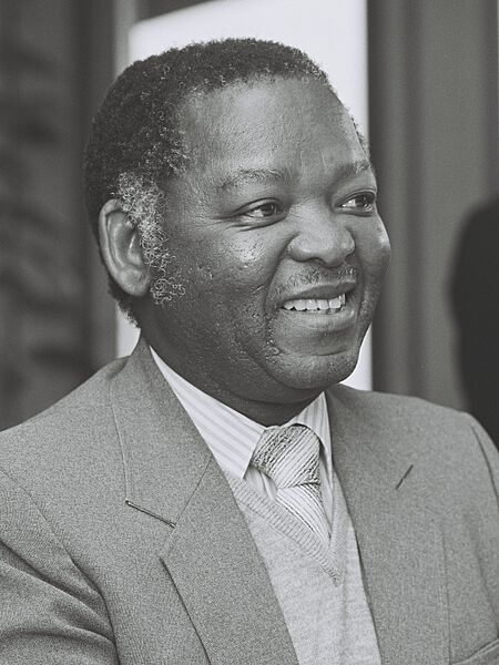 P001622017H Peter Mmusi (cropped)