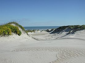 Padre Island National Seashore - sand dunes3.jpg