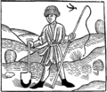Pawn as Cessolis described, labourer