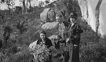 Picking wildflowers in Kalamunda Hills, 1924.jpg