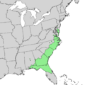 Pinus serotina range map