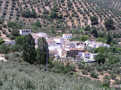 Prados de Armijo umbría
