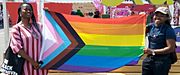 Archivo:Rainbow flag ("Progress" variant by Daniel Quasar) at EuroPride 2019 (Vienna)