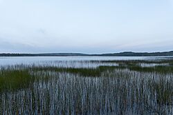 Round Lake in Morning Twilight - Charlotte, Maine, USA - September 26, 2023.jpg