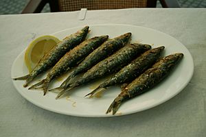 Archivo:Sardinas a la plancha- Cádiz - 2009