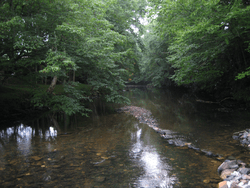 Stream in Linville.png