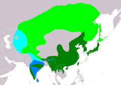 Distribución de Streptopelia orientalis