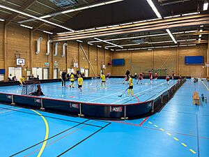 Archivo:Tomtbergahallen, Huddinge 2024