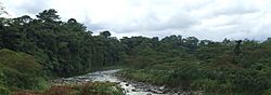 Toro Amarillo River. Costa Rica (1).jpg