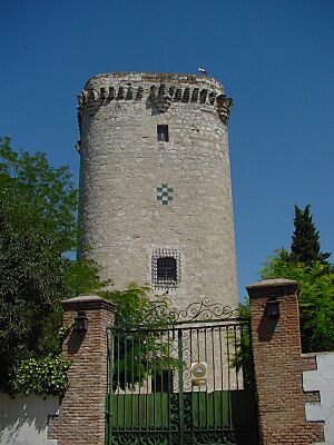 Archivo:Torre de Éboli en Pinto