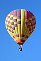 Tucson Balloon Landing