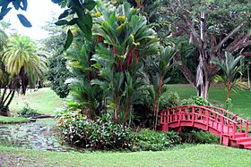 University of Puerto Rico Botanical Gardens 01.jpg