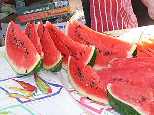 Archivo:Water melon