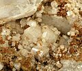 Whitlockite-5b-whitlockite