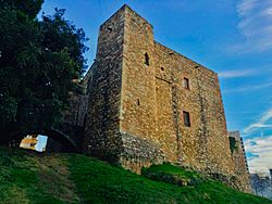 Archivo:19. Castillo cartuja Vallparadís