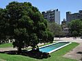 2016 fuente Parque Rodó Montevido