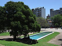 2016 fuente Parque Rodó Montevido