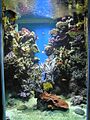 Aquarium-Monaco1