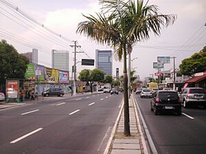 Archivo:Avenida Djalma Batista
