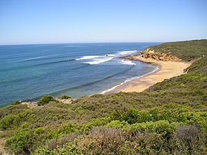 Archivo:Bells-Beach-View