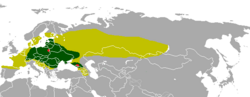 Distribución histórica del bisonte europeo (verde oscuro), máxima extensión de la especie (verde claro), y en los siglos XX y XXI (rojo)