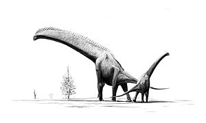 Archivo:Brachiosaurus-brancai jconway
