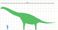 Archivo:Brachiosaurus scale