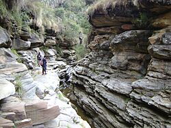 Cañon de El Palmar.jpg