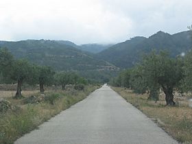 Camino de Olivar Centenario ecológico hacia la Sierra de Salinas, Yecla (Murcia).JPG